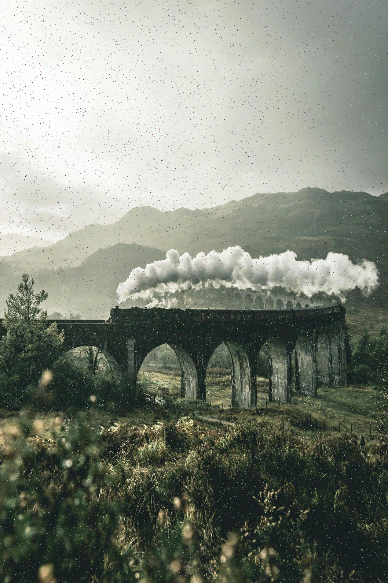 Jihomoravské vinice a zábava